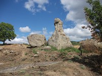 gale-20120725 153